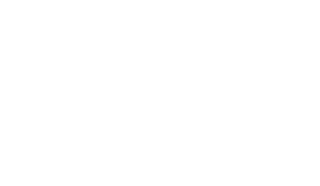 Mirja Lang